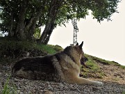 63 Al riparo dal sole, all'ombra, dopo buon pranzetto al sacco... relax